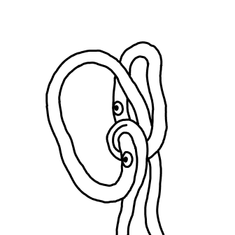 inscription 17ba616696134c1911d3196c2e7f6a8099372a0c7d9db3c57f359a46e9781765i0