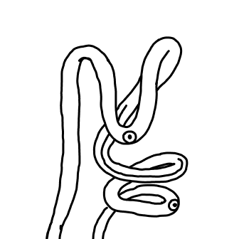 inscription 1ff9d786523bb38231f190e4ac81664ac9aa707c6005e1de638fbbab3868fc19i0