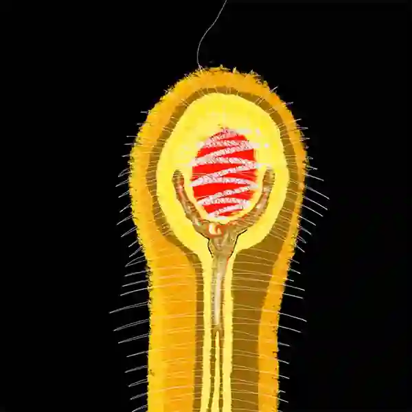 inscription 459f7e2d79107688f86c88324a5a44f4a9d1b04ec6d164f68e6dce6eb4117652i7