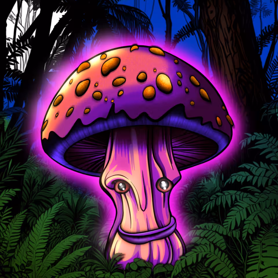 inscription 63b57fe8a55f465f29d8b67ef70fc6cb1d214dfe0cddf6db19e215219f637079i0