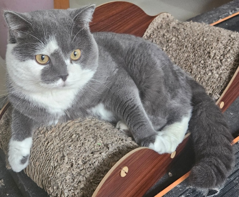 inscription 785791f589d58e6a7286807aeebef6c6308a4b56f3ecef53f242cda7517df91ei0