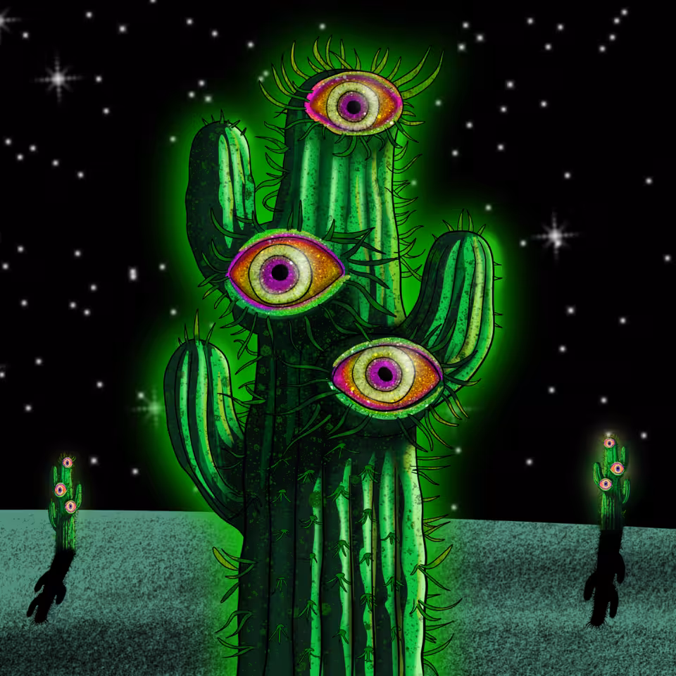 inscription 7912958a1efe9d76b853998da64ebe9b4b0083f6b916c6da53f3263cb57f6a3di0