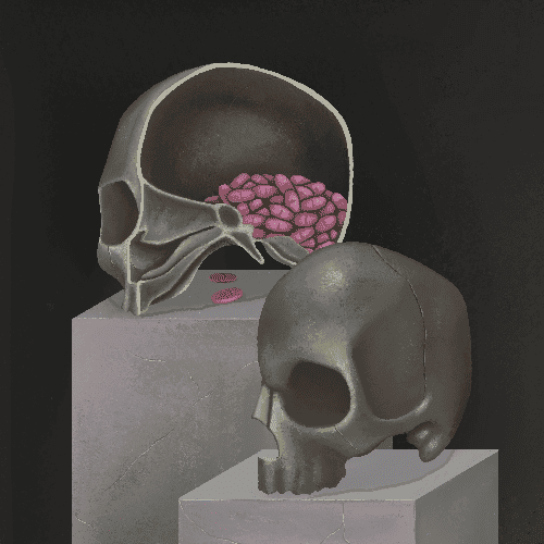 inscription 7dd4abd3cf1208a95d455a45bab016938f31fd3817f08d4c1ccb34201b3afb2bi0