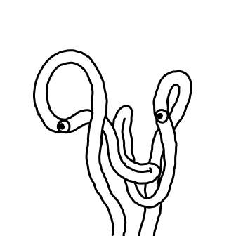 inscription 89d686bcb8659cb971dac8dbbdaadf2682663dbba3cbdd3558e796d4a9424aaai0