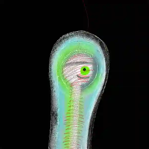 inscription a5e3c8f1c4f96b783311427797492b846a5b2b1e7ab3e0437aa14165170f07b4i23