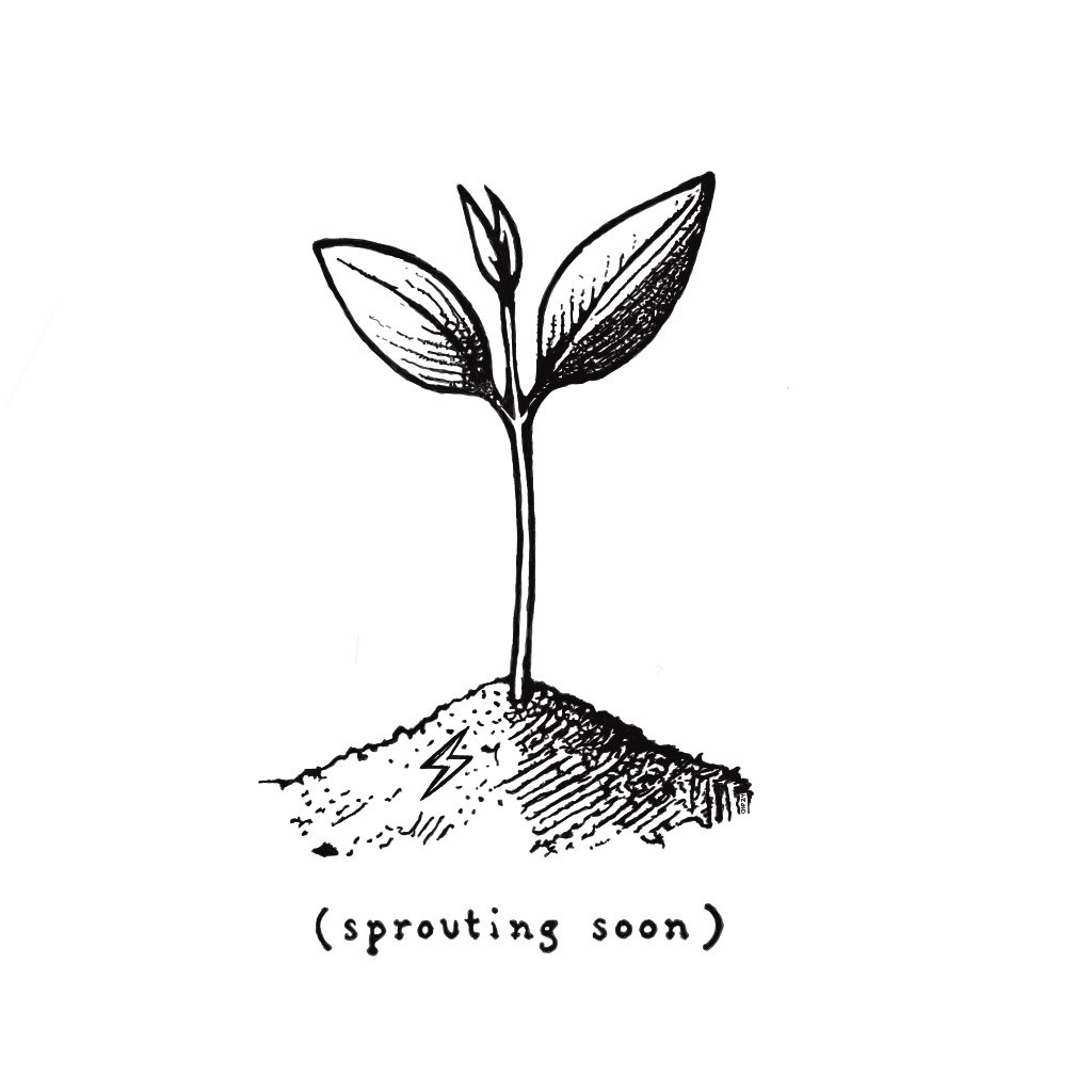 inscription cebe5d7a42627273fb33e512f26497e770863d5fd88c79ced065986a355ea049i0