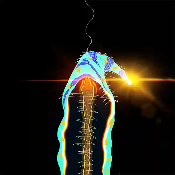 inscription e169731f70207387c524b1204f8c97bfccce2ba4d5d5e5ad1aa6018adc2b7482i37