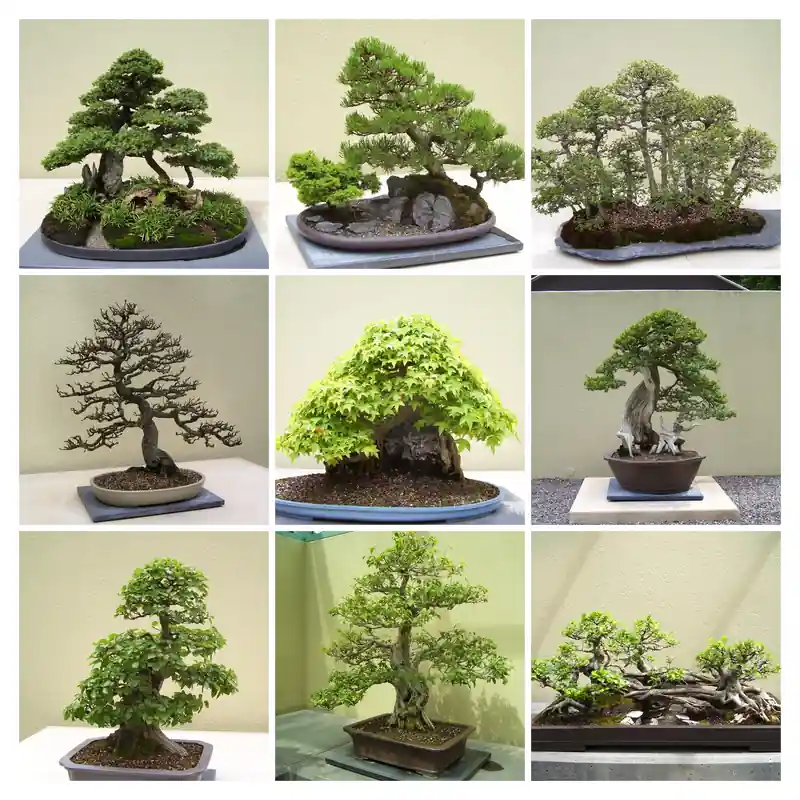 inscription f208be0cc599f87a6f842e32dbdf10f902cf40fc2e7b163dab5ee2b652abb37bi0