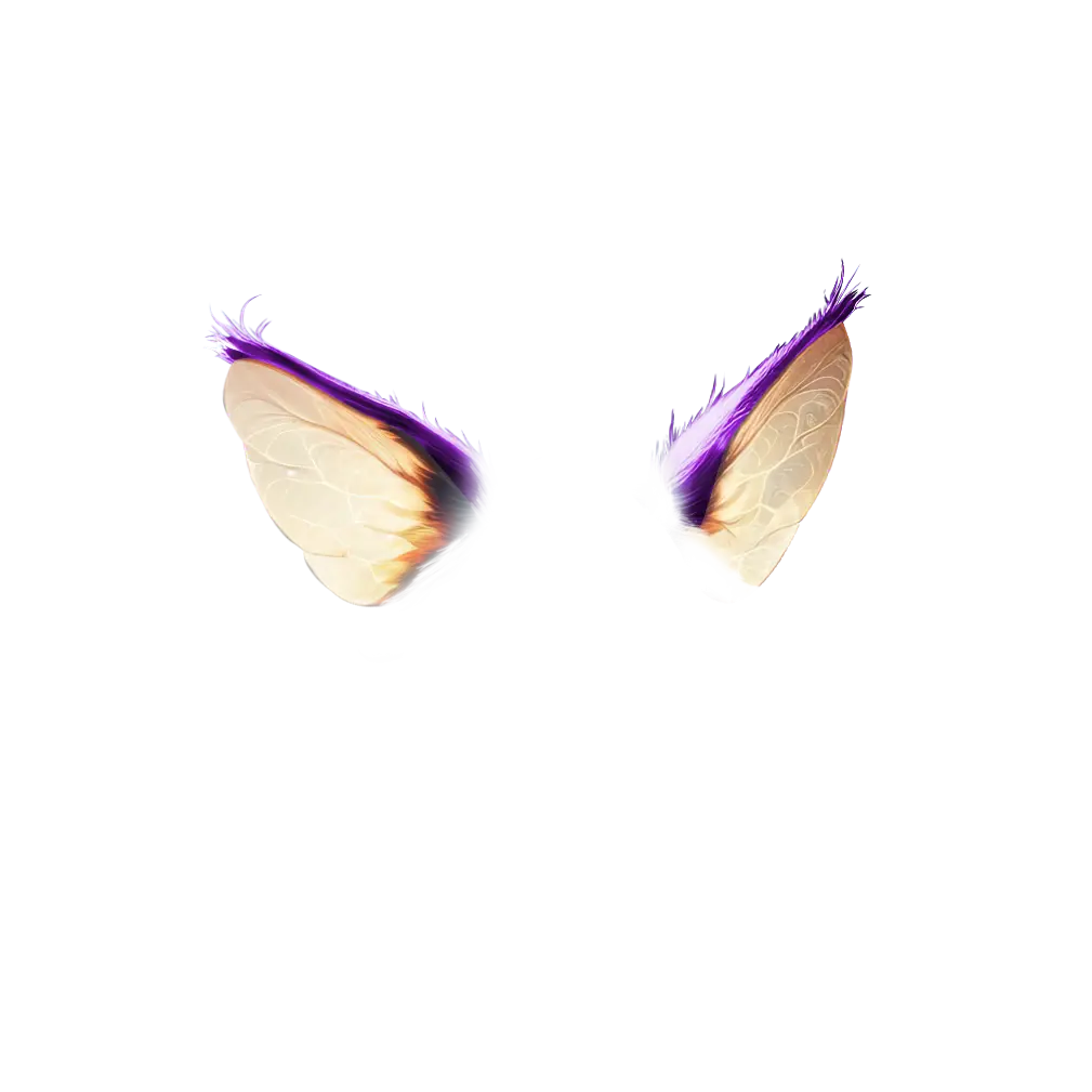 inscription f929c872ca4a4afdebd150f3664d14e96dcd8b44b1e760b25cb08f304c94b2c1i4